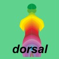 Ewald Kliegel - Reflexzonen - Dermatome dorsal