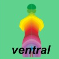 Ewald Kliegel - Reflexzonen - Dermatome ventral