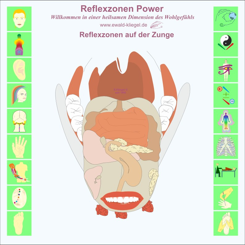 Reflexzonen Power Ewald Kliegel Reflexzonen auf der Zunge