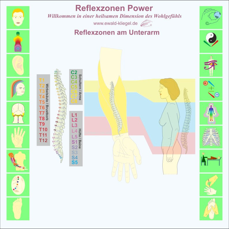 Reflexzonen Power Ewald Kliegel Reflexzonen am Unterarm - palmar